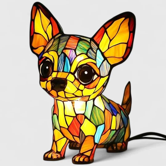 Chihuahua Kouzlo